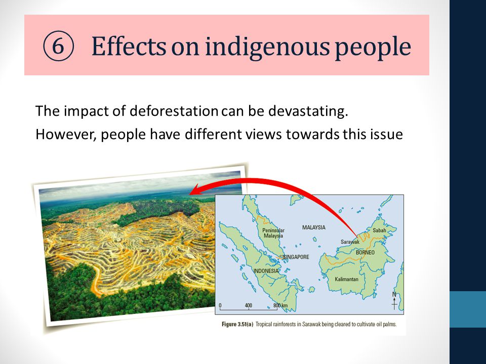 Why can deforestation be a problem for indigenous people?